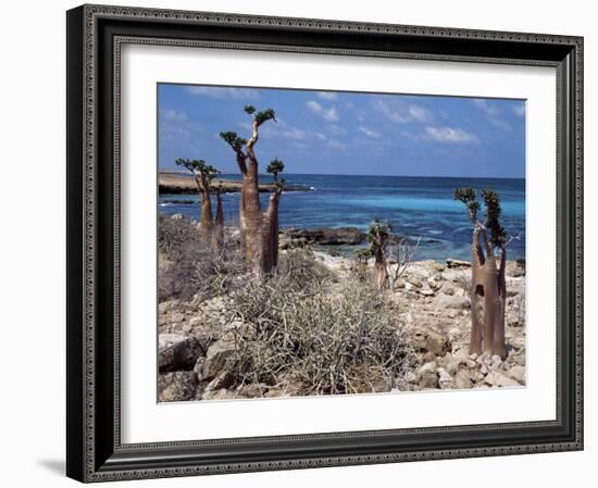 Socotra Island Ies in Arabian Sea, 180 Miles South of Arabian Peninsula-Nigel Pavitt-Framed Photographic Print