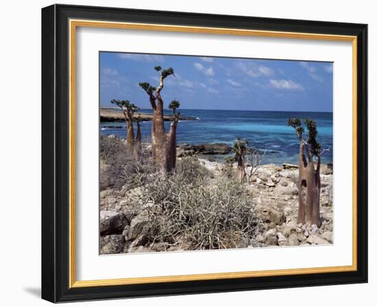 Socotra Island Ies in Arabian Sea, 180 Miles South of Arabian Peninsula-Nigel Pavitt-Framed Photographic Print