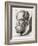 Socrates Greek Philosopher-Johan H. Lips-Framed Photographic Print
