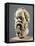 Socrates, Marble Head, Copy from a Bronze from the Pompeion in Athens-null-Framed Premier Image Canvas