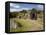 Sod Roofed and Walled Storage and Work Shops, Skogar Folk Museum, Coast of South Iceland-Dave Bartruff-Framed Premier Image Canvas