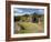 Sod Roofed and Walled Storage and Work Shops, Skogar Folk Museum, Coast of South Iceland-Dave Bartruff-Framed Photographic Print