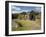 Sod Roofed and Walled Storage and Work Shops, Skogar Folk Museum, Coast of South Iceland-Dave Bartruff-Framed Photographic Print