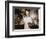 Soda Jerk, 1939-Russell Lee-Framed Photographic Print