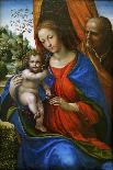 The Madonna and Child, C. 1520-Sodoma-Framed Giclee Print