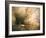 Sof Omar Cave, Main Gallery of River Web, Southern Highlands, Ethiopia, Africa-Tony Waltham-Framed Photographic Print