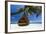 Sofa Hanging on a Tree on the Beach, Maldives, Indian Ocean-Sakis Papadopoulos-Framed Photographic Print