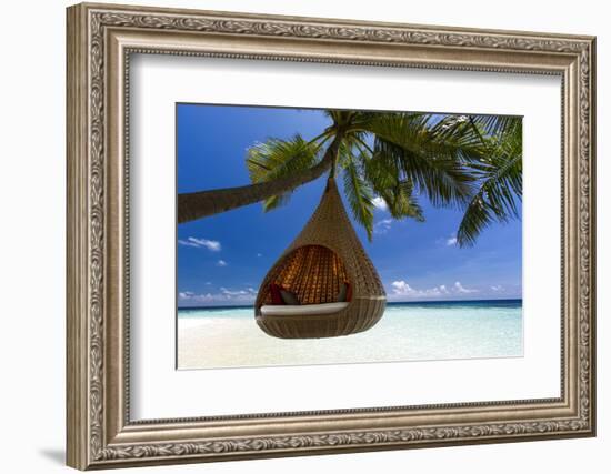 Sofa Hanging on a Tree on the Beach, Maldives, Indian Ocean-Sakis Papadopoulos-Framed Photographic Print