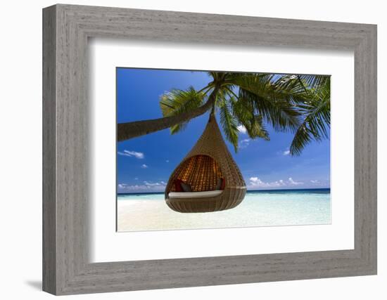 Sofa Hanging on a Tree on the Beach, Maldives, Indian Ocean-Sakis Papadopoulos-Framed Photographic Print