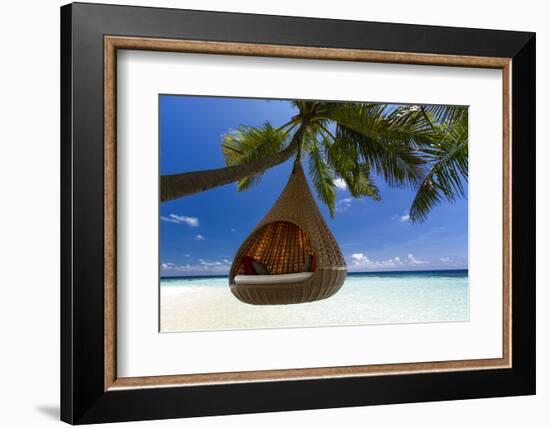 Sofa Hanging on a Tree on the Beach, Maldives, Indian Ocean-Sakis Papadopoulos-Framed Photographic Print