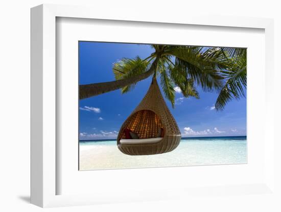 Sofa Hanging on a Tree on the Beach, Maldives, Indian Ocean-Sakis Papadopoulos-Framed Photographic Print