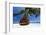 Sofa Hanging on a Tree on the Beach, Maldives, Indian Ocean-Sakis Papadopoulos-Framed Photographic Print