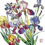 Irises-Sofia Perina-Miller-Framed Giclee Print