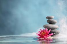 Spa Still Life with Water Lily and Zen Stone in a Serenity Pool-Sofiaworld-Photographic Print