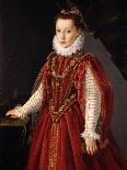 Portrait of a Young Lady-Sofonisba Anguissola-Giclee Print