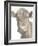 Soft and Curious-null-Framed Photographic Print