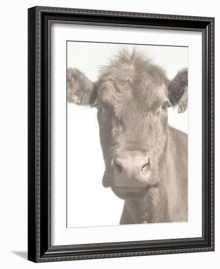 Soft and Curious-null-Framed Photographic Print