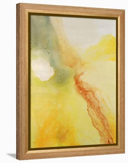 Soft and Flowing I-Rikki Drotar-Framed Premier Image Canvas