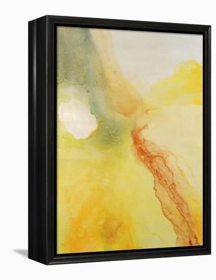 Soft and Flowing I-Rikki Drotar-Framed Premier Image Canvas