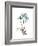 Soft Anthurium 1-Albert Koetsier-Framed Premium Giclee Print