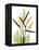 Soft Anthurium Portrait-Albert Koetsier-Framed Stretched Canvas