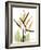 Soft Anthurium Portrait-Albert Koetsier-Framed Art Print