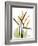 Soft Anthurium Portrait-Albert Koetsier-Framed Premium Giclee Print