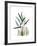 Soft Anthurium-Albert Koetsier-Framed Premium Giclee Print