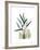 Soft Anthurium-Albert Koetsier-Framed Premium Giclee Print