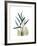 Soft Anthurium-Albert Koetsier-Framed Premium Giclee Print