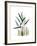 Soft Anthurium-Albert Koetsier-Framed Premium Giclee Print