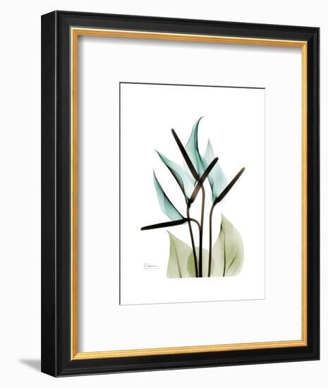 Soft Anthurium-Albert Koetsier-Framed Premium Giclee Print