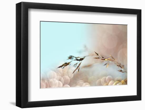 Soft bending-Heidi Westum-Framed Photographic Print