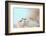 Soft bending-Heidi Westum-Framed Photographic Print