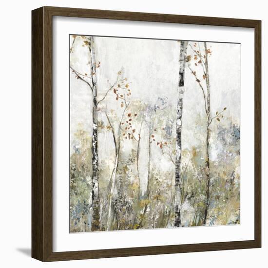 Soft Birch Forest II-Allison Pearce-Framed Art Print