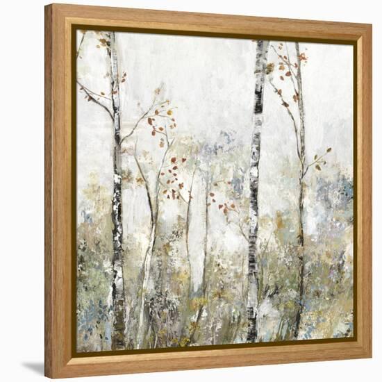 Soft Birch Forest II-Allison Pearce-Framed Stretched Canvas