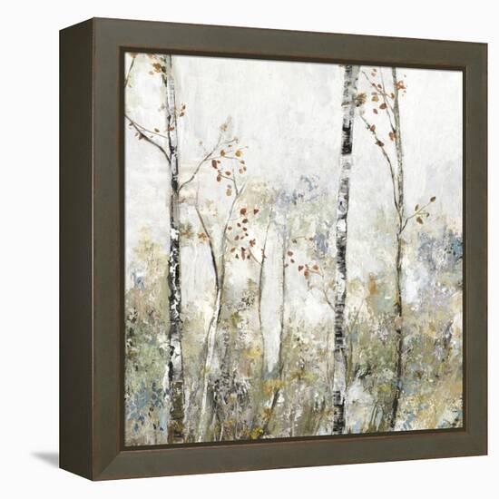 Soft Birch Forest II-Allison Pearce-Framed Stretched Canvas