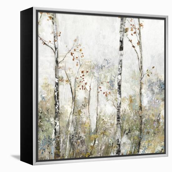 Soft Birch Forest II-Allison Pearce-Framed Stretched Canvas