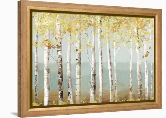 Soft Birch-Allison Pearce-Framed Stretched Canvas