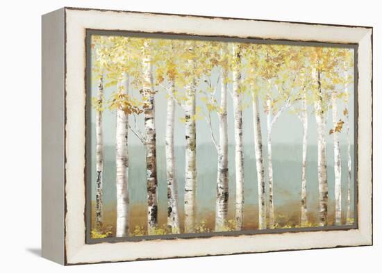 Soft Birch-Allison Pearce-Framed Stretched Canvas