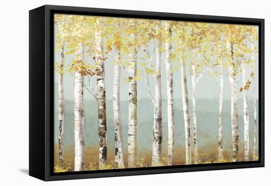 Soft Birch-Allison Pearce-Framed Stretched Canvas