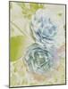 Soft Blooms - Floret-Collezione Botanica-Mounted Giclee Print