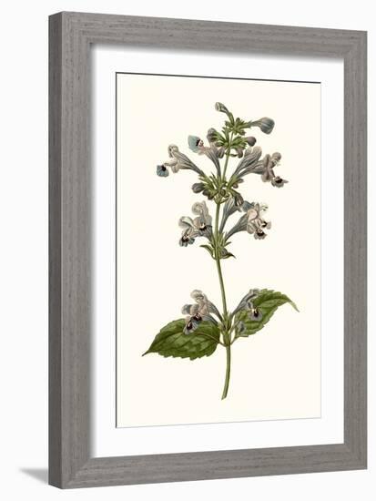 Soft Blue Botanicals III-Curtis-Framed Art Print