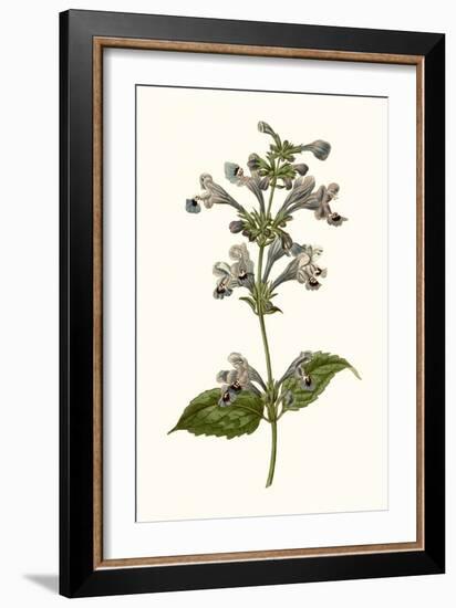 Soft Blue Botanicals III-Curtis-Framed Art Print
