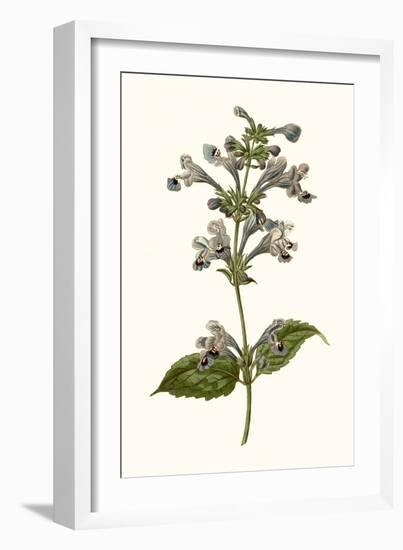 Soft Blue Botanicals III-Curtis-Framed Art Print