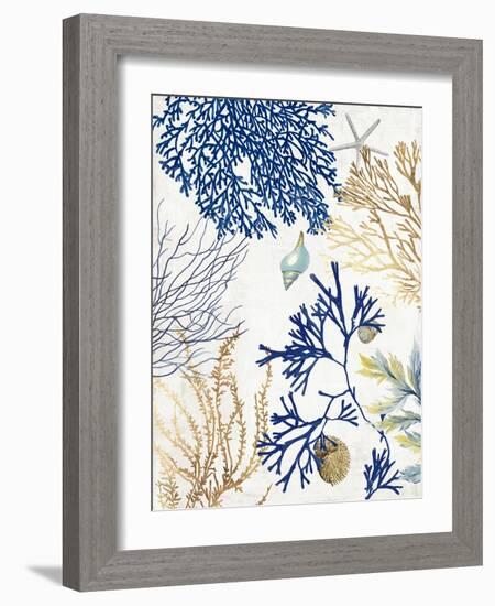 Soft Blue Corals I-Aimee Wilson-Framed Art Print