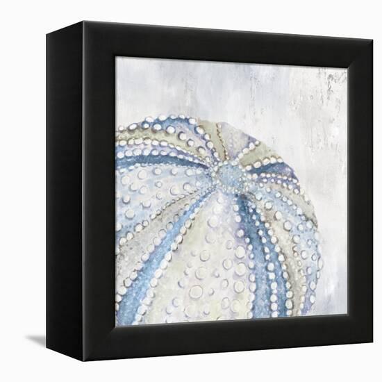 Soft Blue Sea Urchin-Eli Jones-Framed Stretched Canvas