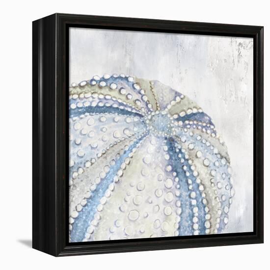 Soft Blue Sea Urchin-Eli Jones-Framed Stretched Canvas