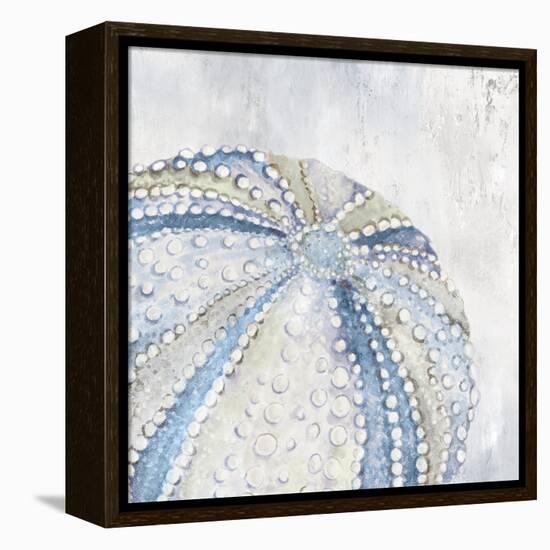 Soft Blue Sea Urchin-Eli Jones-Framed Stretched Canvas