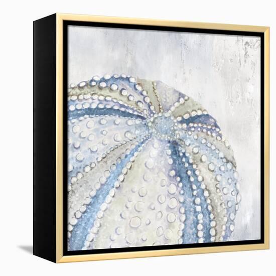 Soft Blue Sea Urchin-Eli Jones-Framed Stretched Canvas
